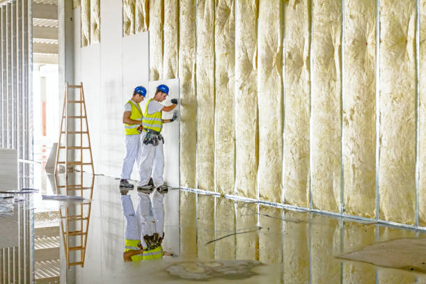 Types of Insulation We Offer in Watergate, FL